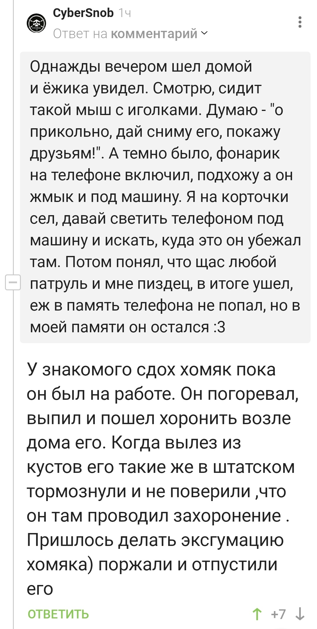 Кто самые опасные животные в современном городе? (Ответ - ёж и хомяк!) |  Пикабу