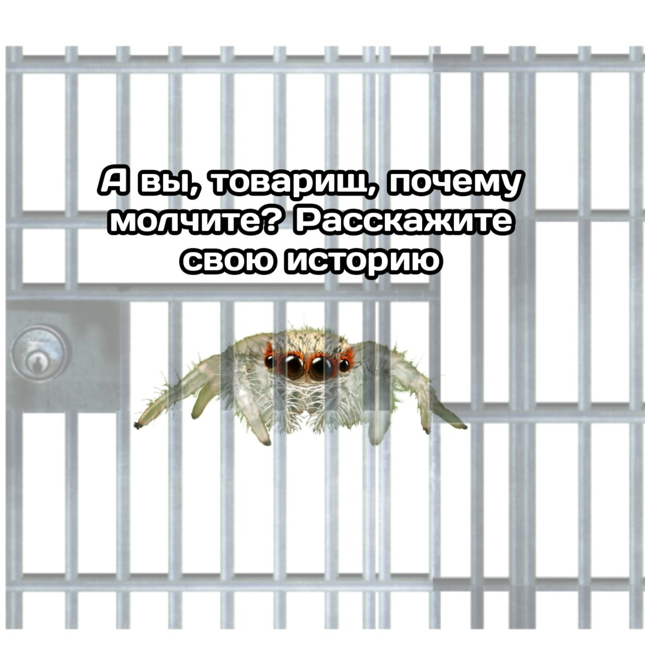 Сидят три павука | Пикабу