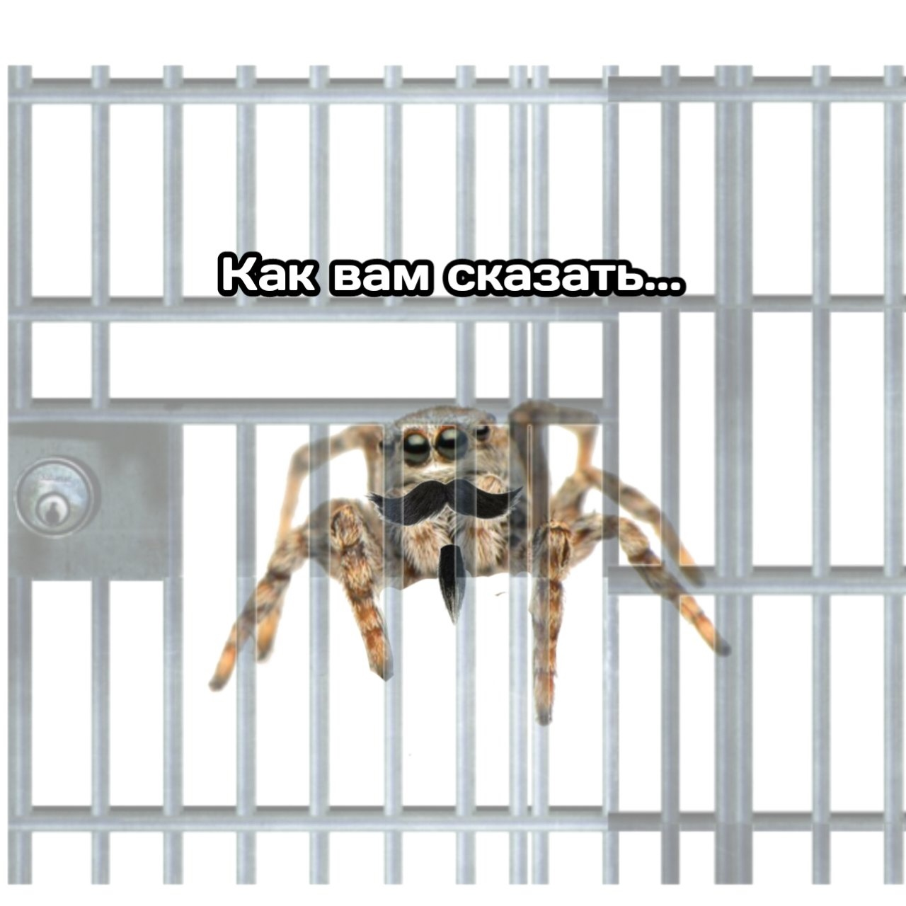 Сидят три павука | Пикабу
