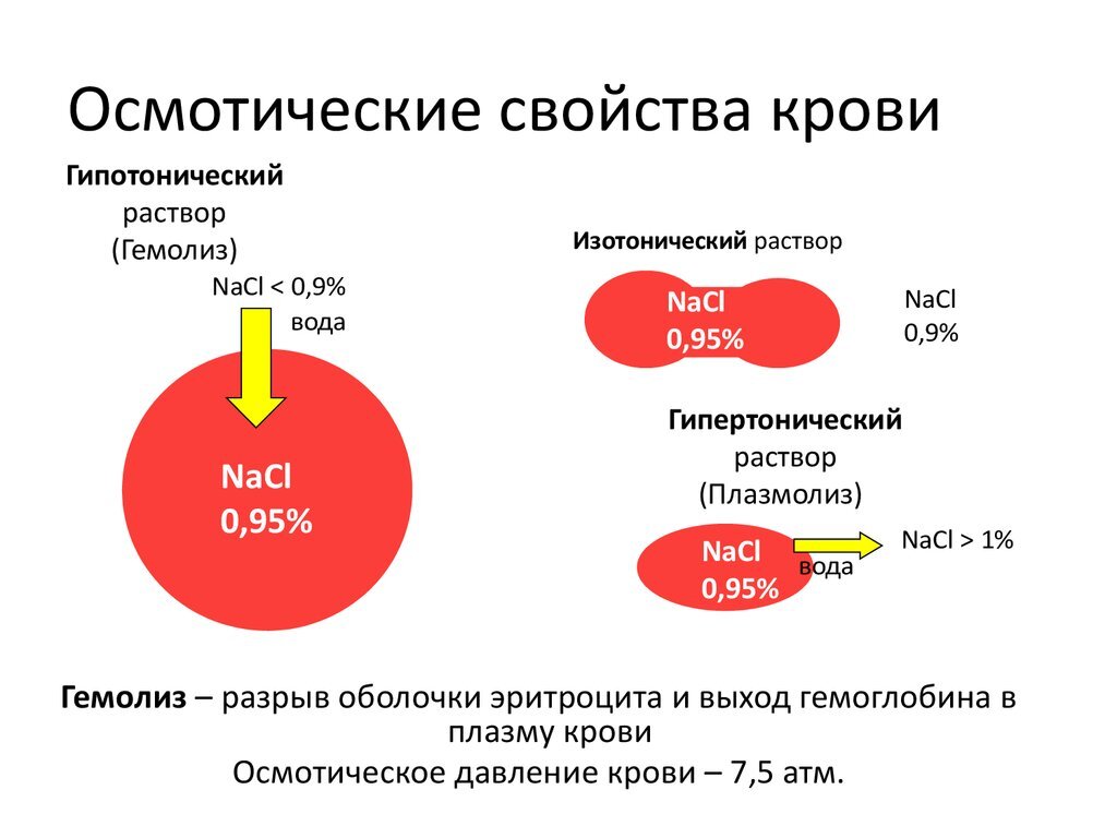 Ответ на пост «Здоровье важнее» | Пикабу