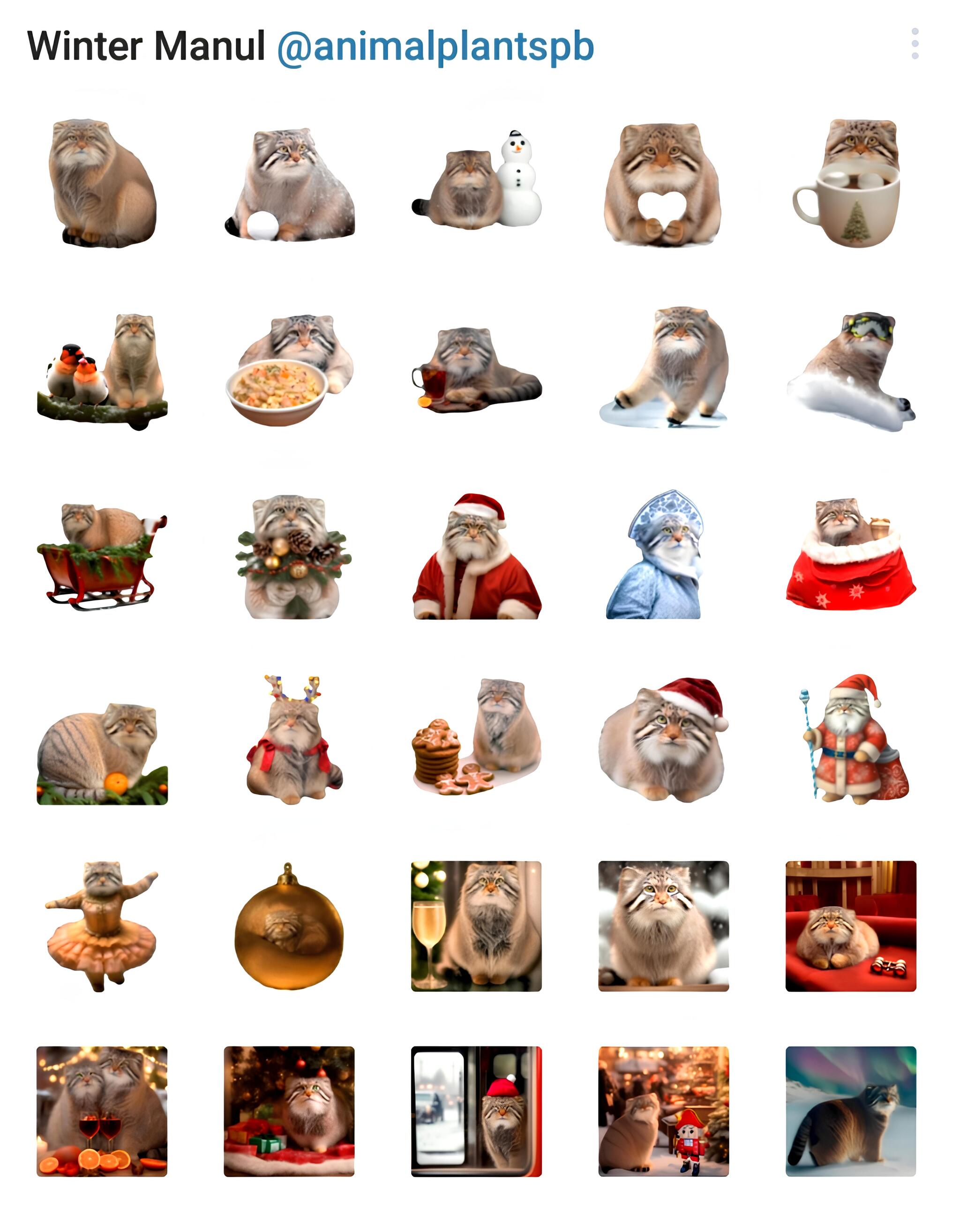 Новый стикерпак с манулами | Пикабу