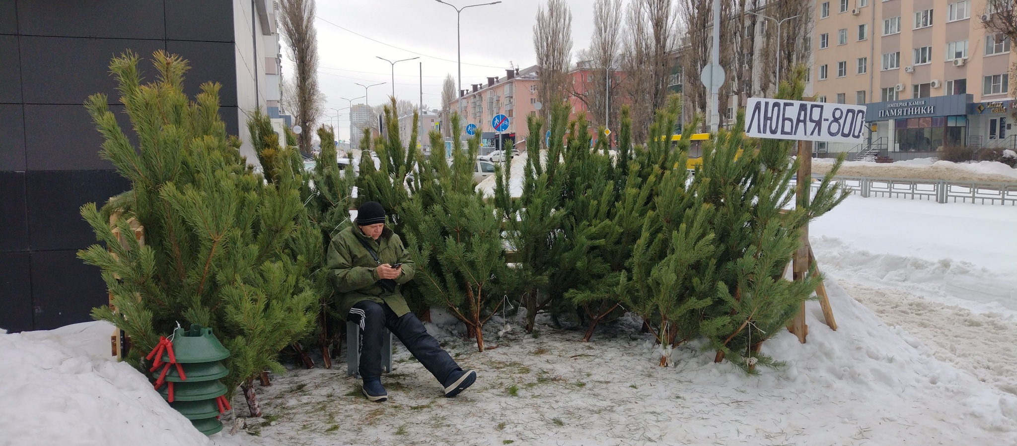 Цены на ёлки в моем городе | Пикабу