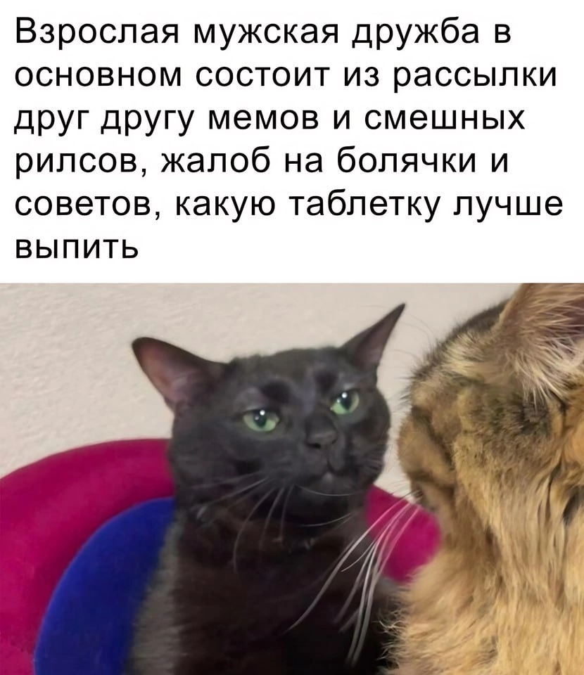 Жизненно | Пикабу