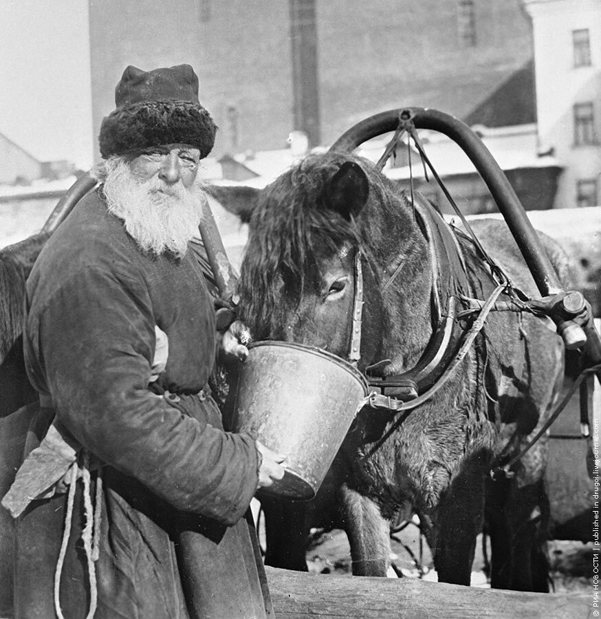 Как жили и работали извозчики | Пикабу