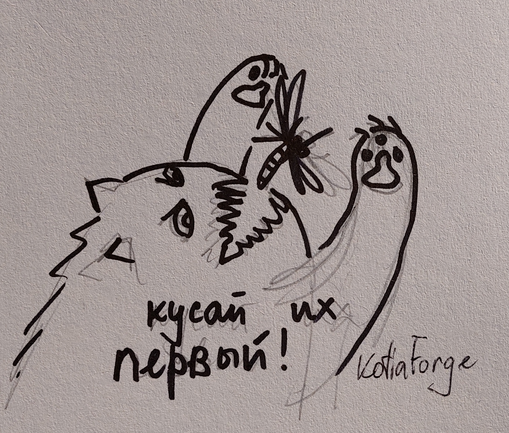 Чушь всякая | Пикабу