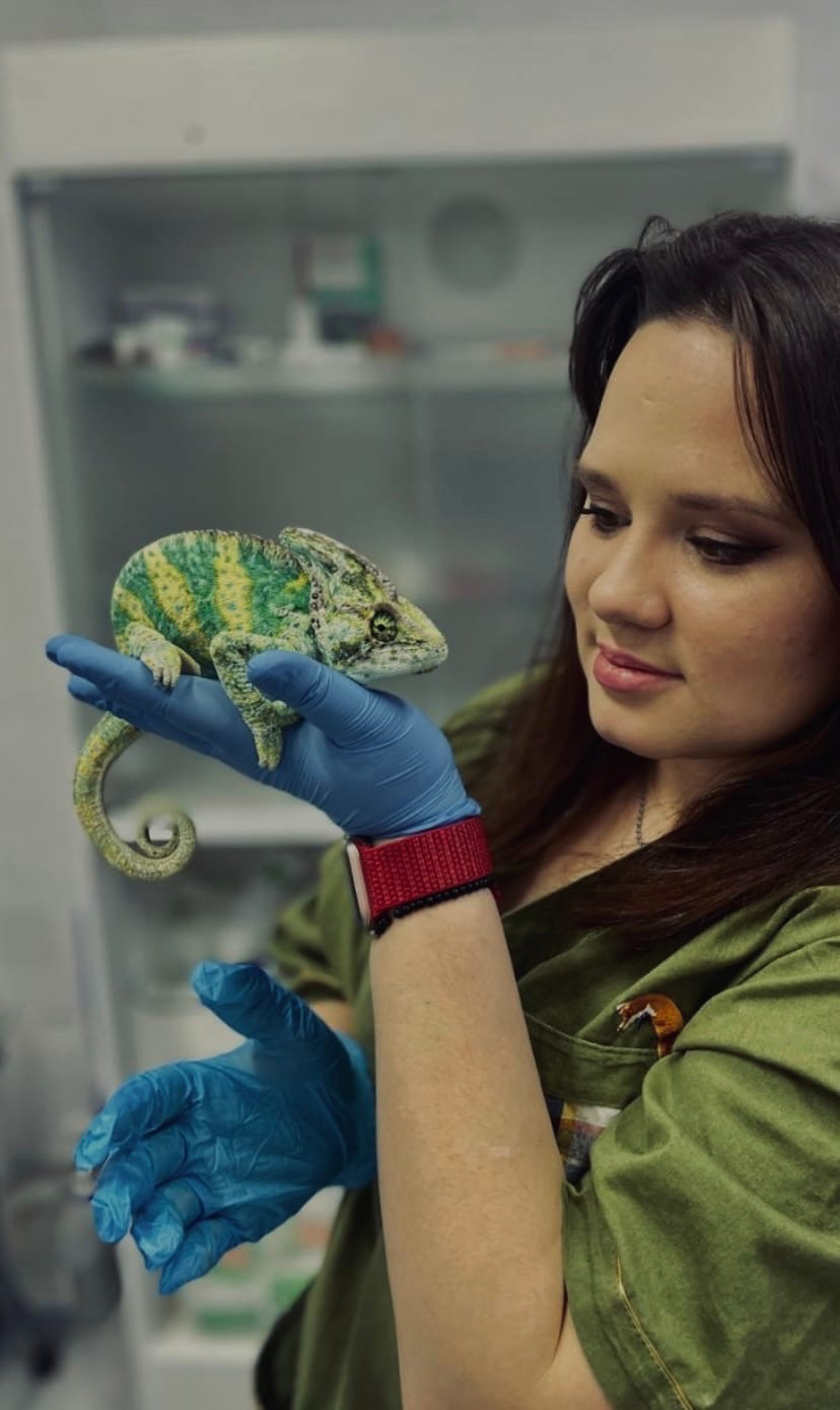 Здравствуйте | Пикабу