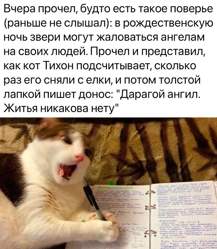 Послания кота