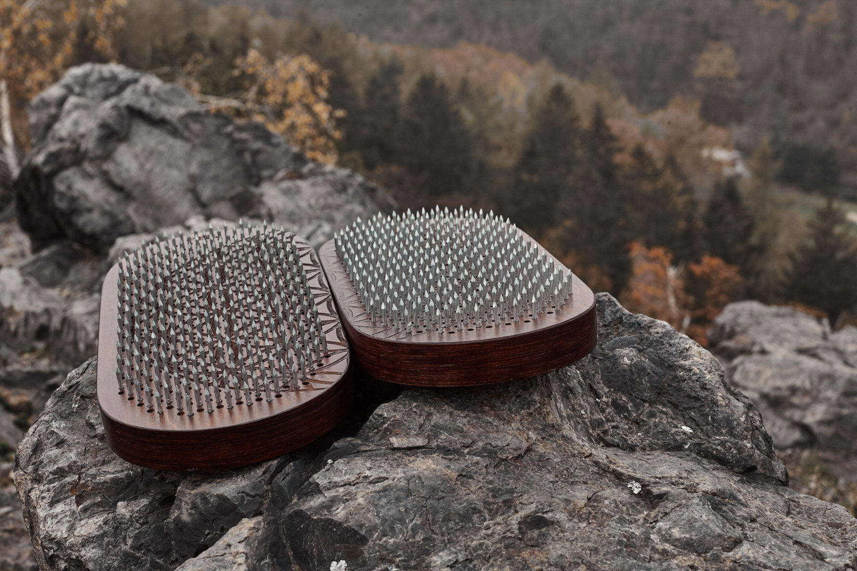 ДОСКА САДХУ: ВСЕ, ЧТО ВЫ ДОЛЖНЫ ЗНАТЬ | Пикабу