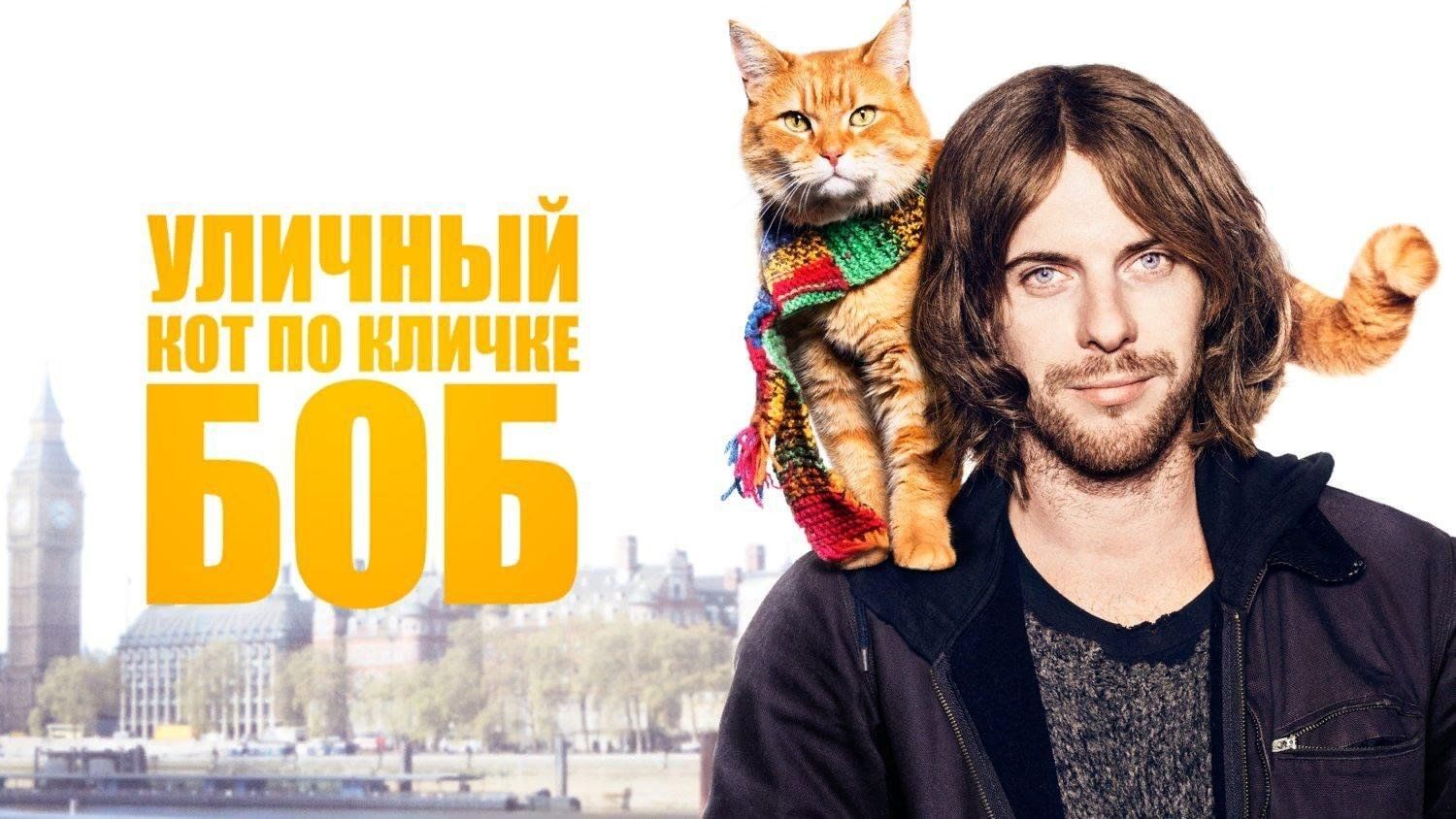 Уличный кот по кличке Боб / A Street Cat Named Bob (2016) Великобритания |  Пикабу