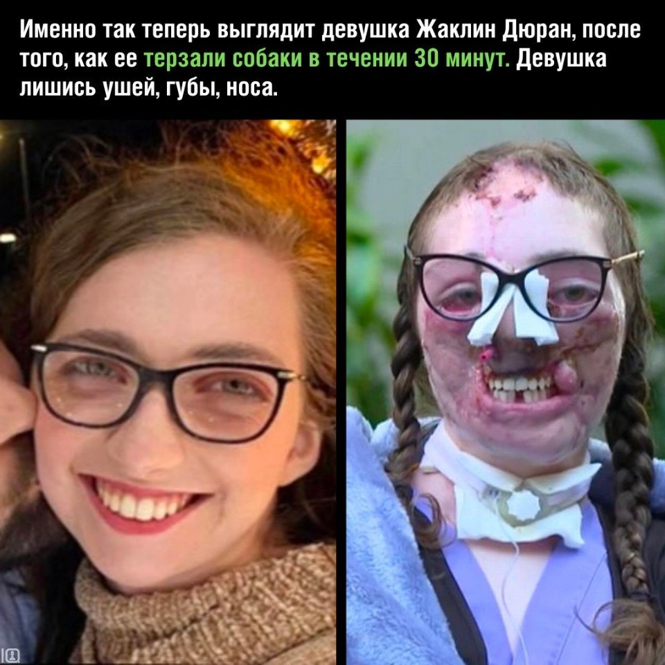  жена секс с собакой фотках 