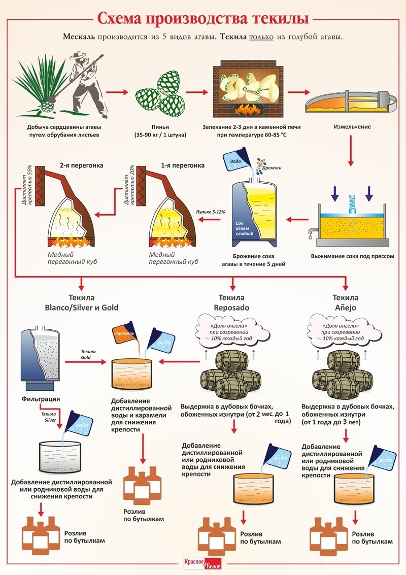 Схема Производства Текилы | Пикабу