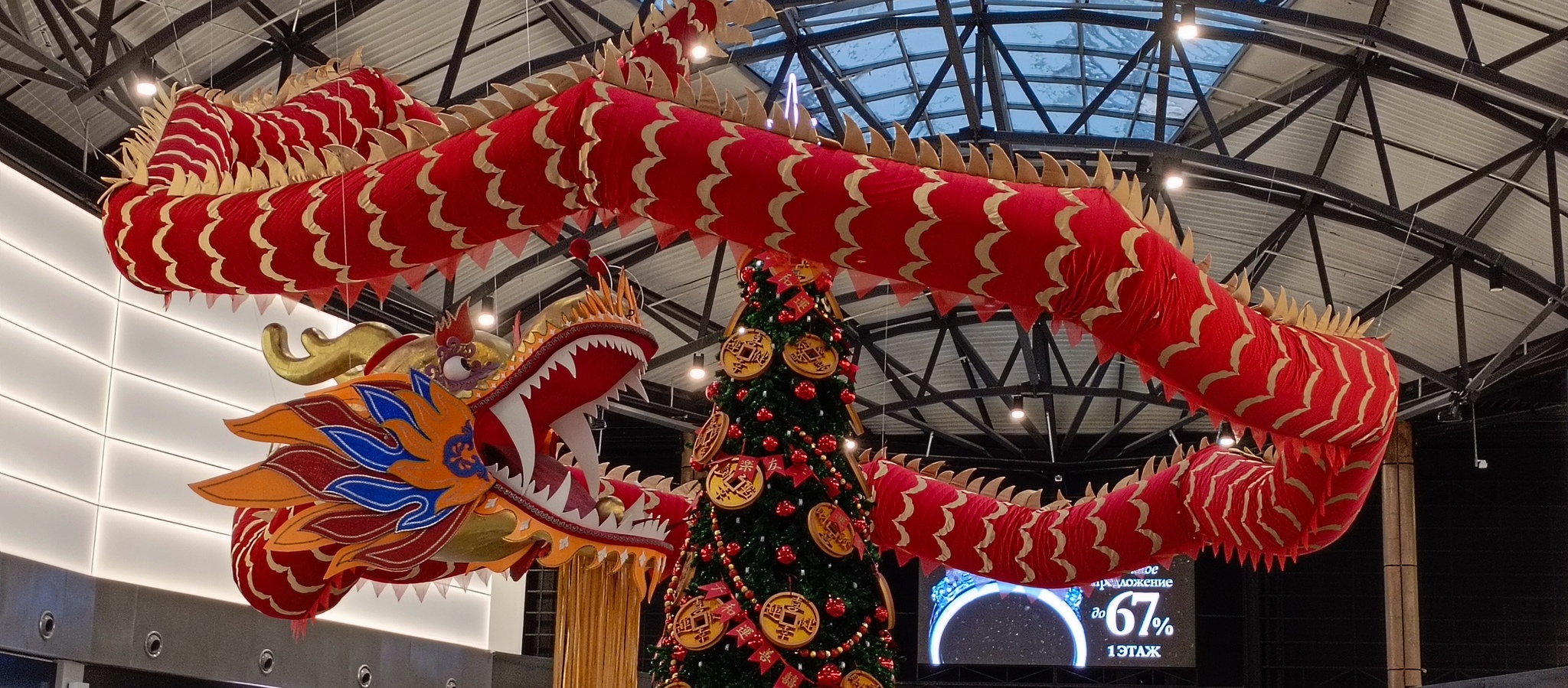 Дракон с ёлкой | Пикабу