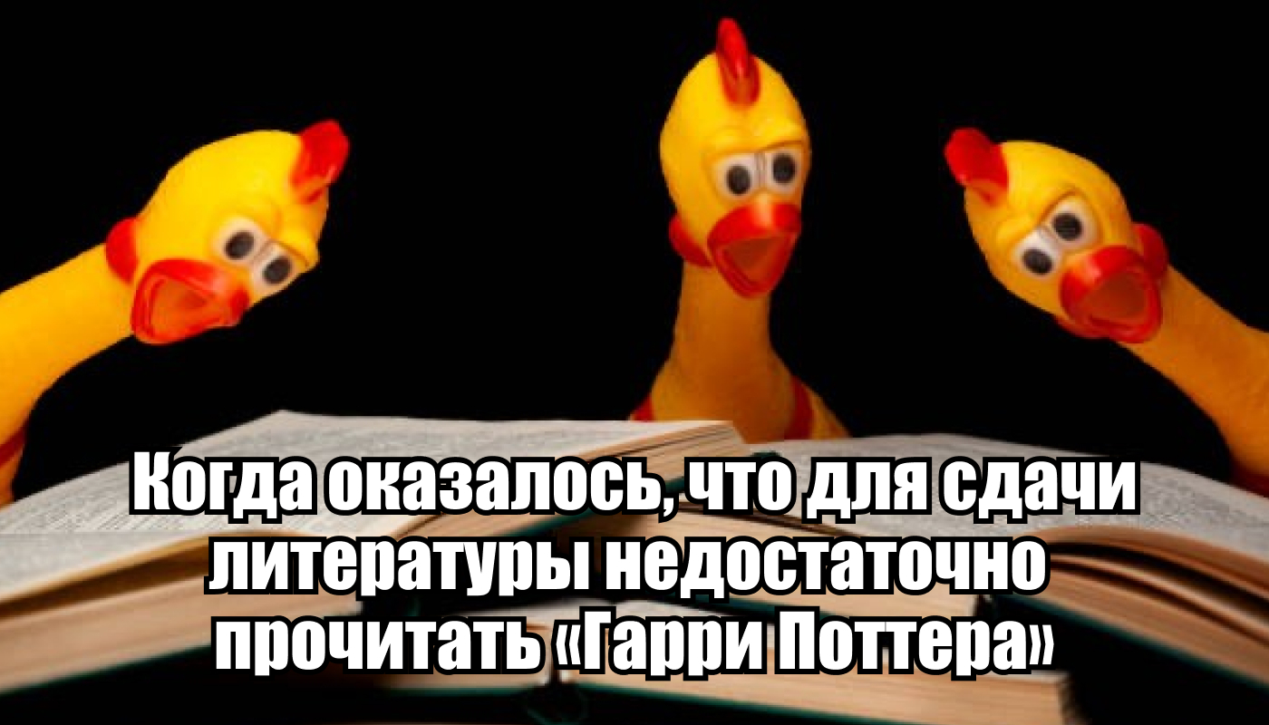 Проверьте школьные знания: 7 вопросов из ЕГЭ, на которые вы когда-то знали  ответы | Пикабу