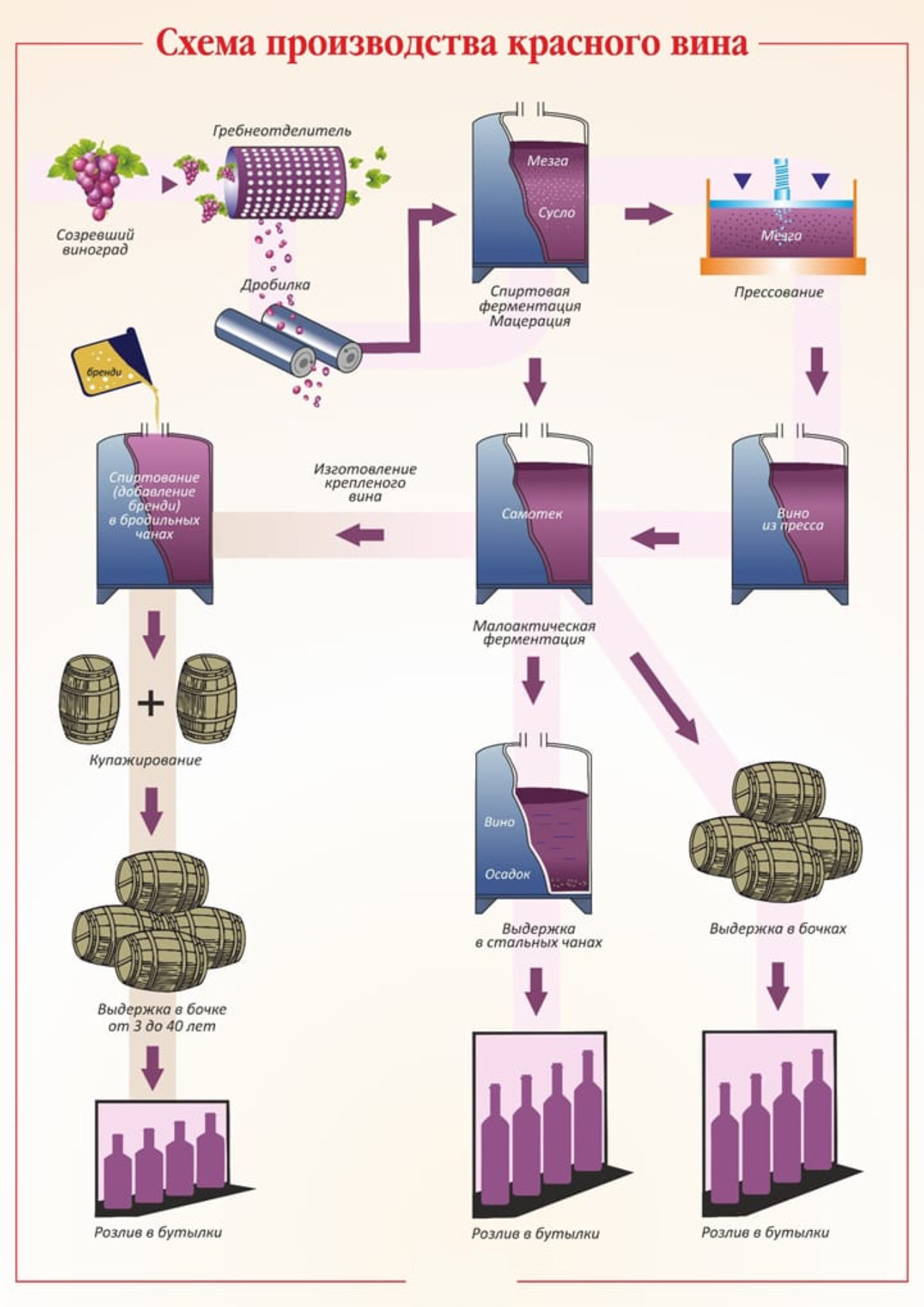 Схема производства «Красного Вина» | Пикабу