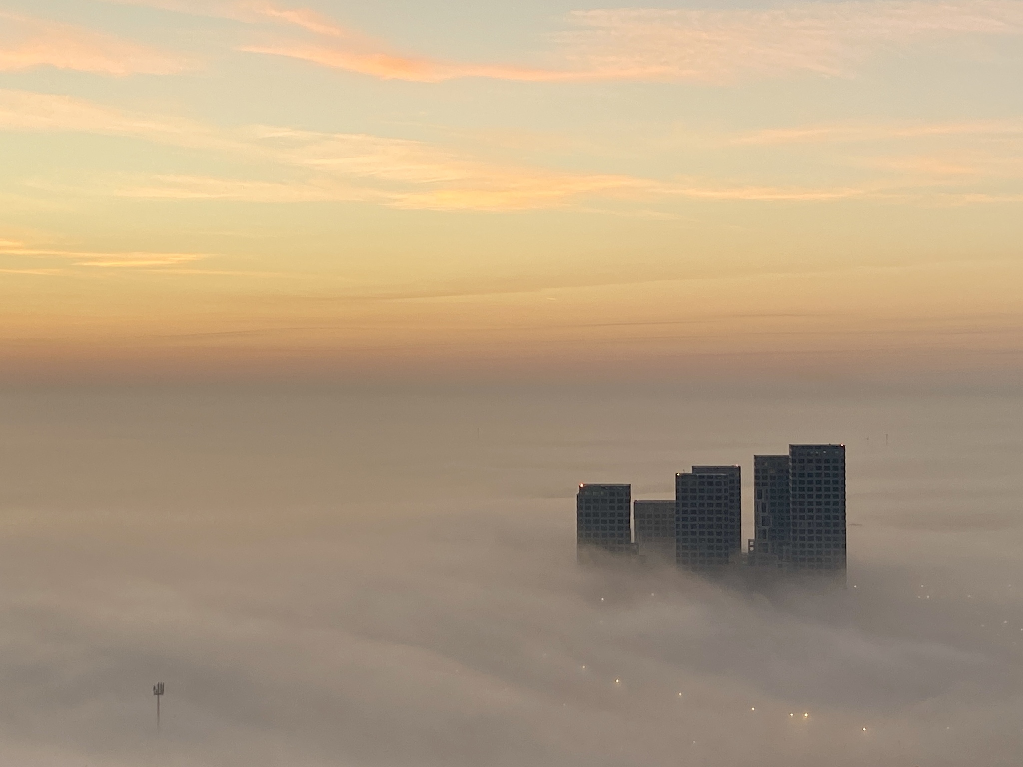 У нас сегодня туманно | Пикабу