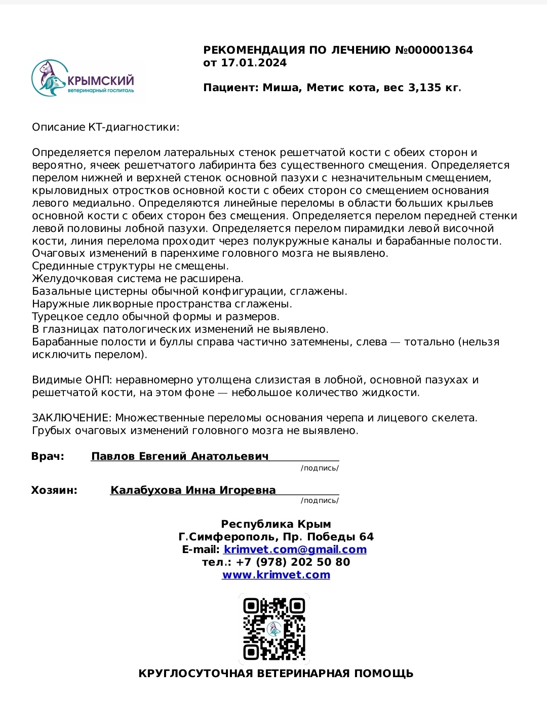 Продолжение поста «История уличного кота Мишки которого сбила машина. ЧМТ,  сломана челюсть, перестал видеть глаз. Нужна помощь!» | Пикабу