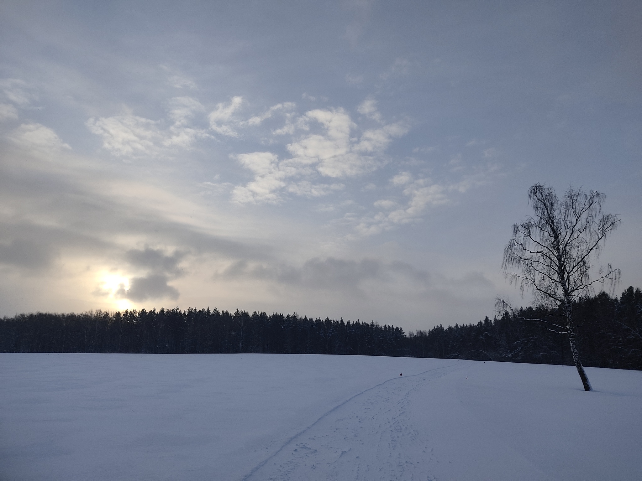 Низкое зимнее солнце | Пикабу