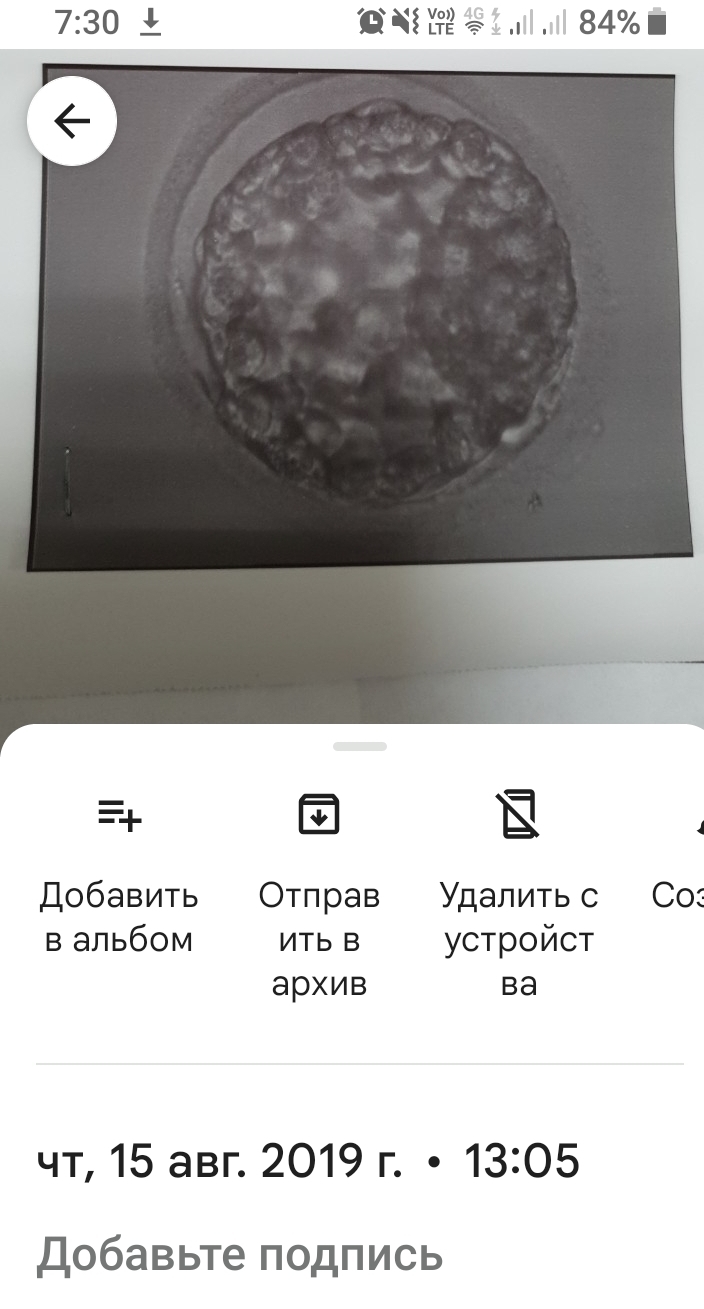Доча | Пикабу