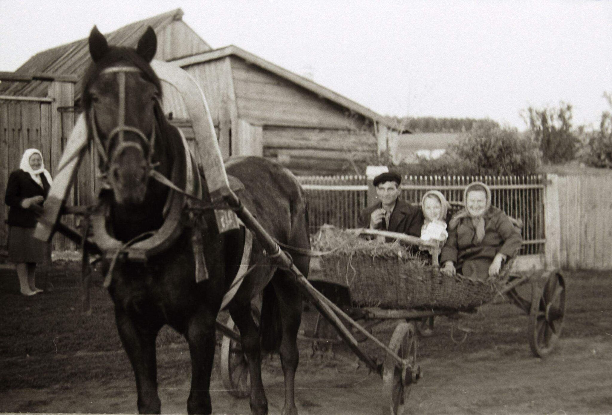 Деревенское такси. 1965г | Пикабу
