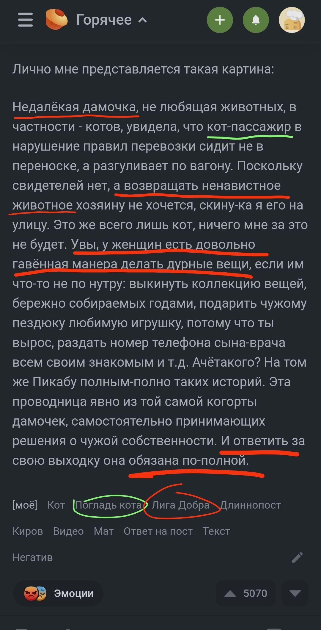 Ответ bemmby в «Киров. Помогите найти Твикса» | Пикабу