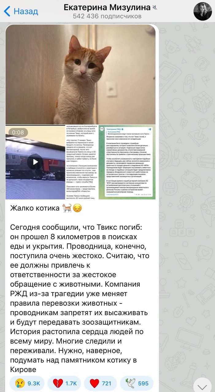 Когда нужно примазаться к хайпу хоть так(когда умного предложить нечего)...  | Пикабу