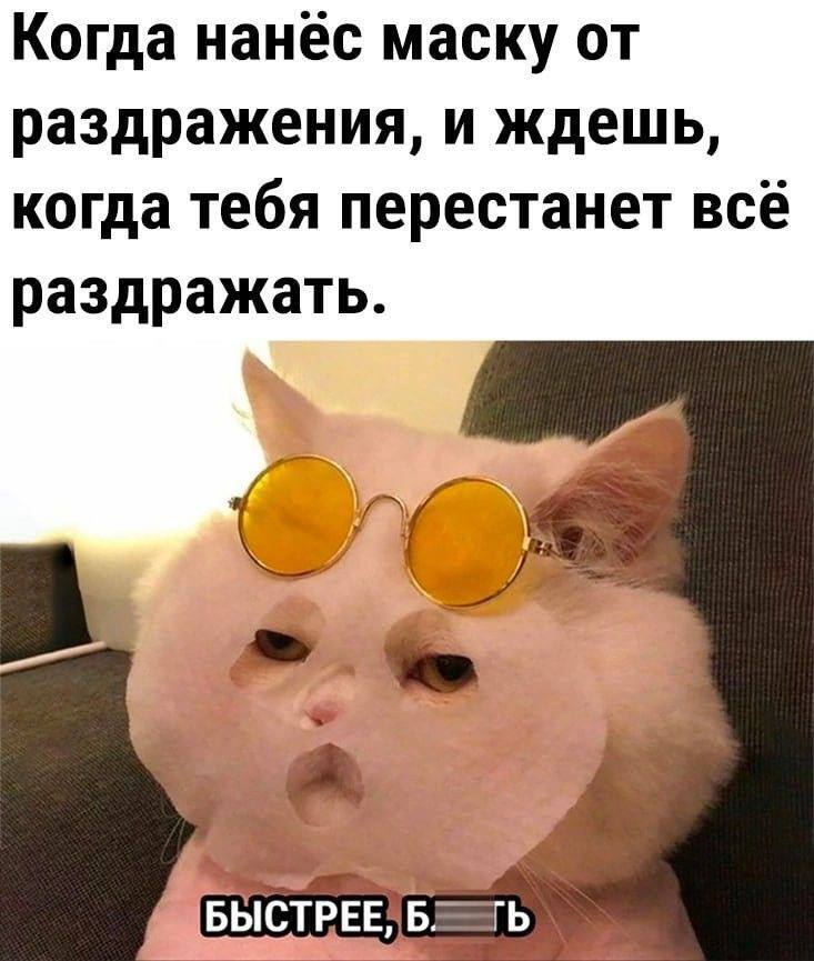 Мем | Пикабу