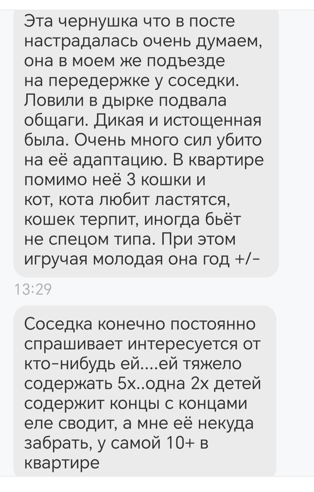 Ответ на пост «Вопрос к людям, которые пристраивают котов и кошек» | Пикабу