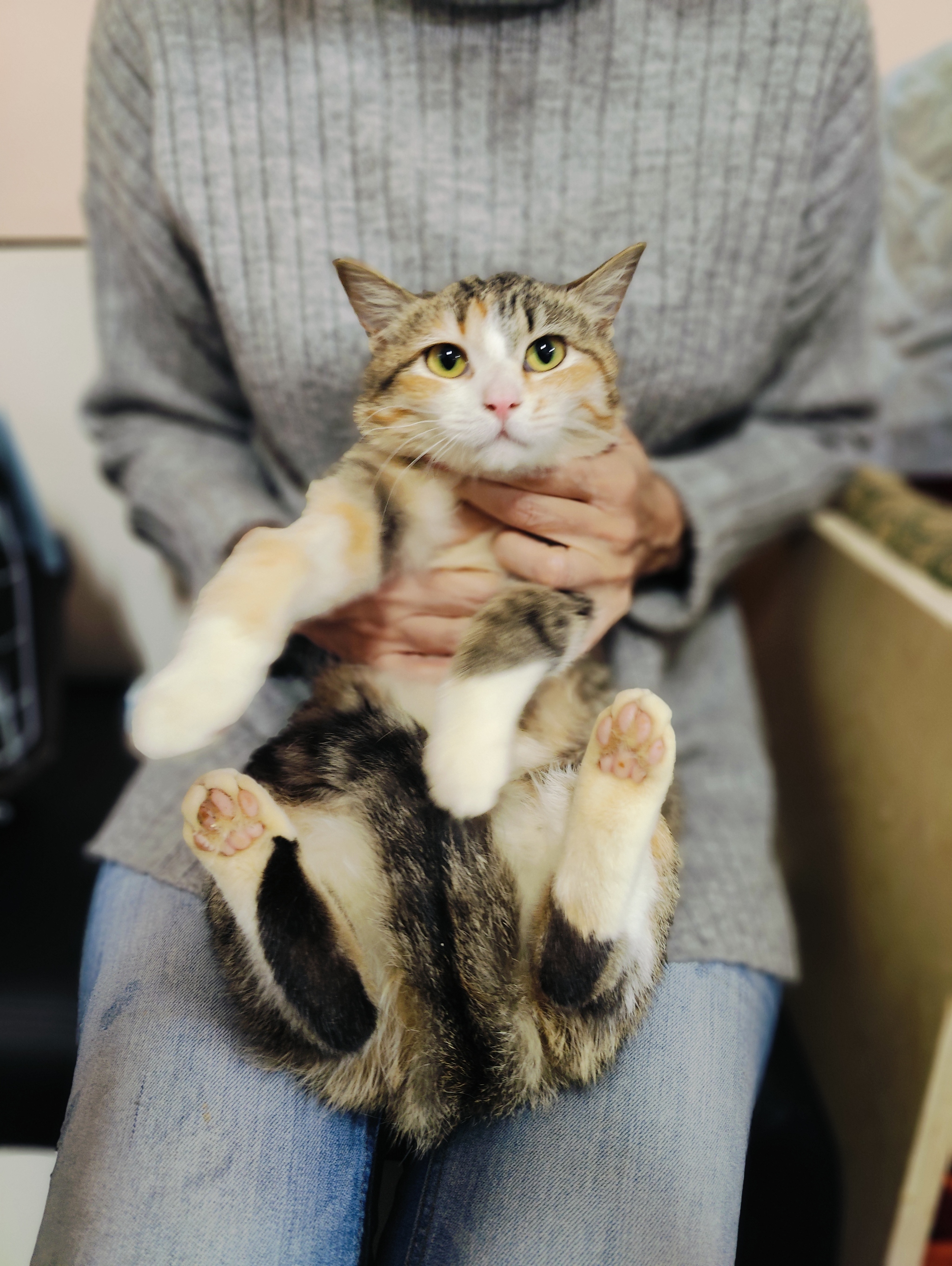 СПб и ЛО (клиника в Тосно, но довезти до Питера не проблема). Опять ...