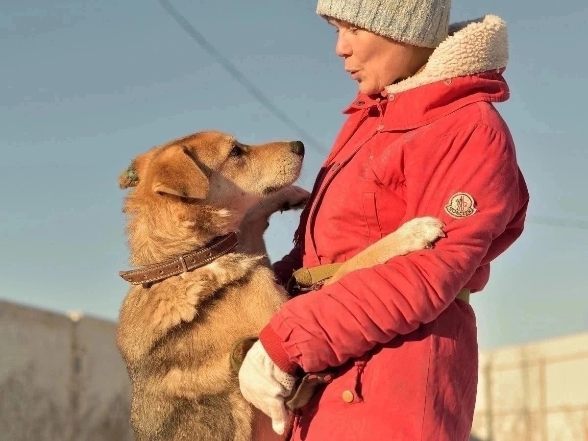 Ищем человека который полюбит ПАМИРА | Пикабу