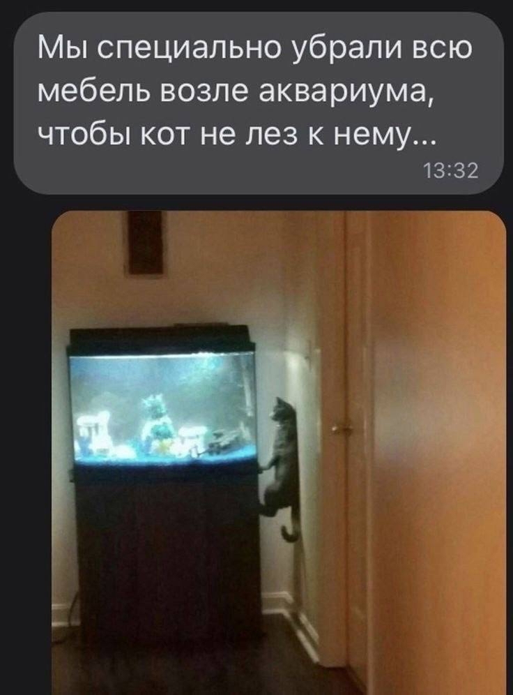 Аквариум | Пикабу