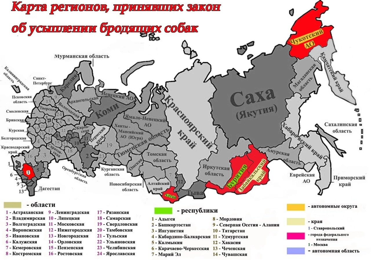 Список разумных регионов пополнился - на Чукотке разрешили эвтаназию  бездомных животных | Пикабу