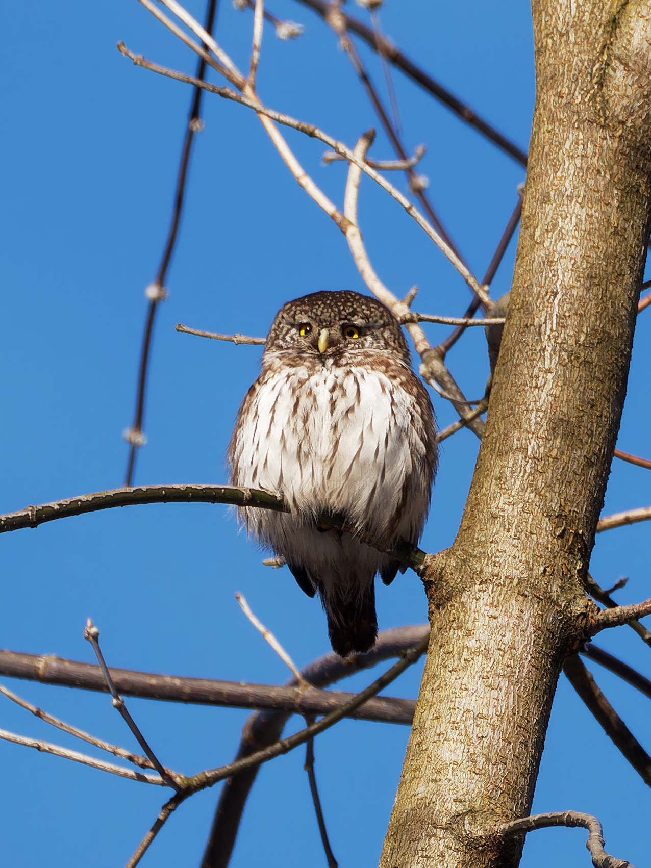 Греется | Пикабу