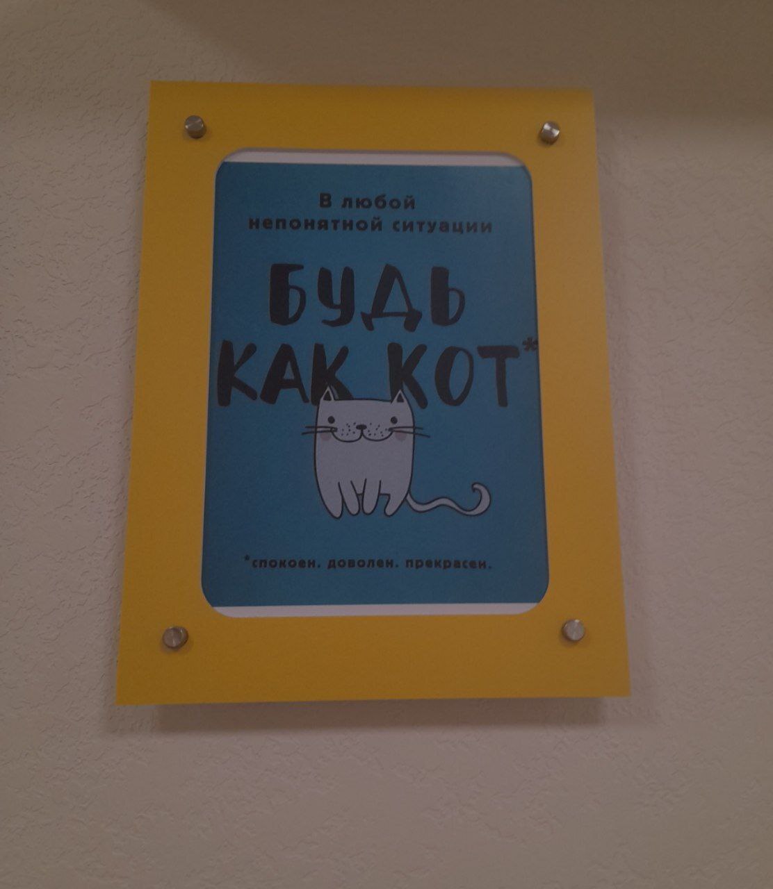 Будь как кот) | Пикабу