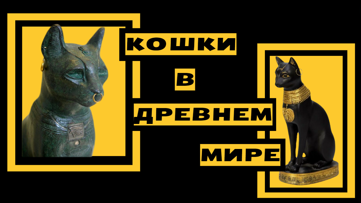 Кошки в Древнем Мире | Пикабу