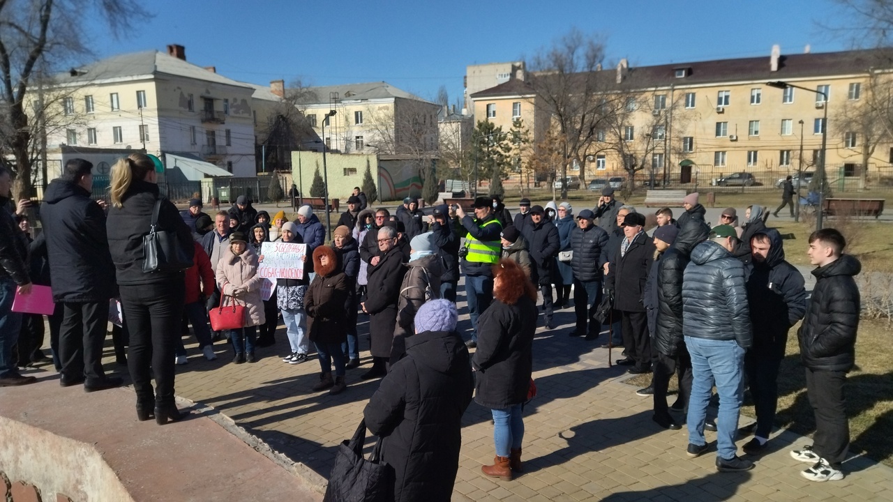 В Астрахани прошёл очередной митинг против бродячих собак | Пикабу