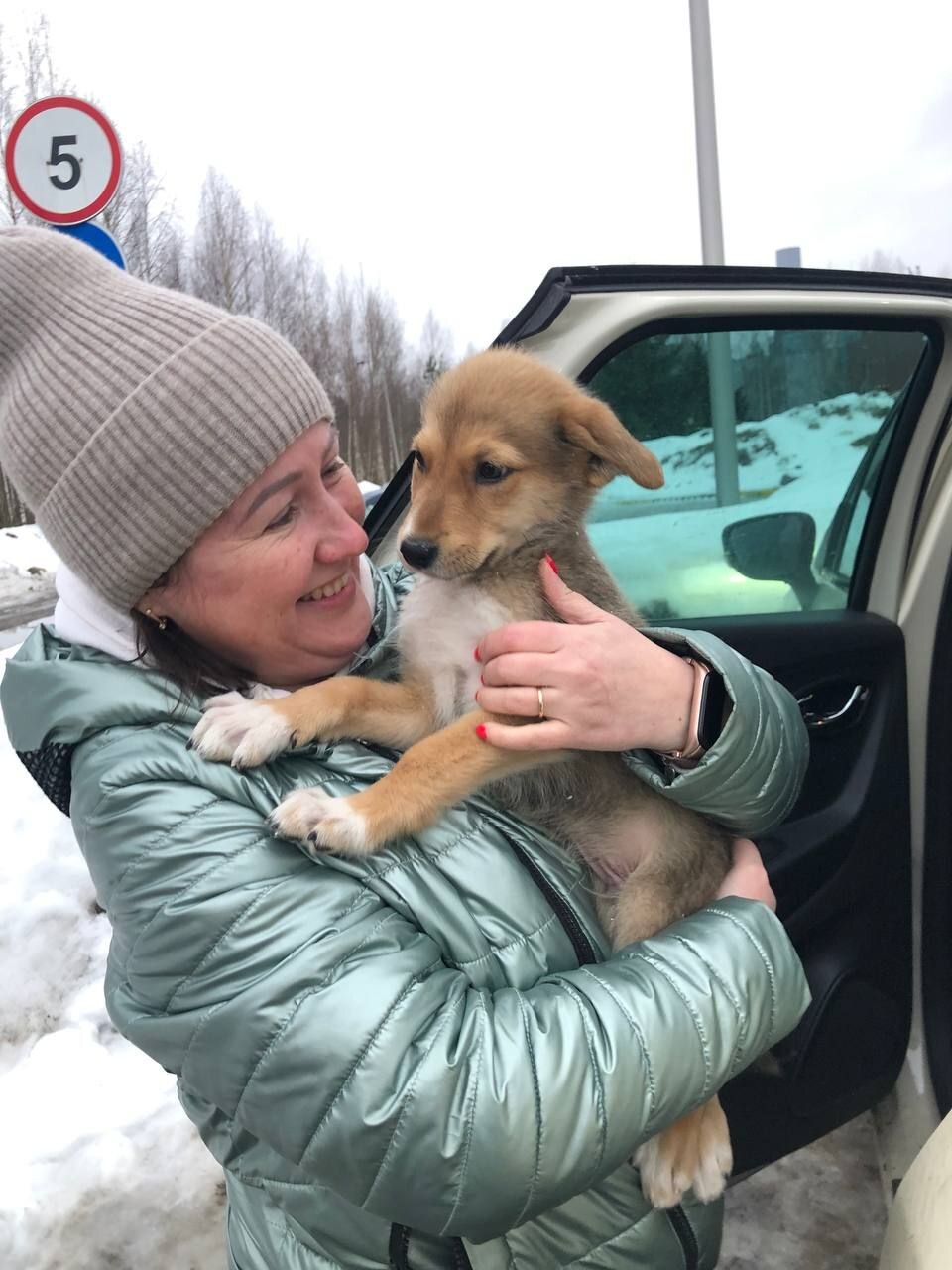 Позавчера в новый дом поехал первый щенок, подкинутый в клинику | Пикабу