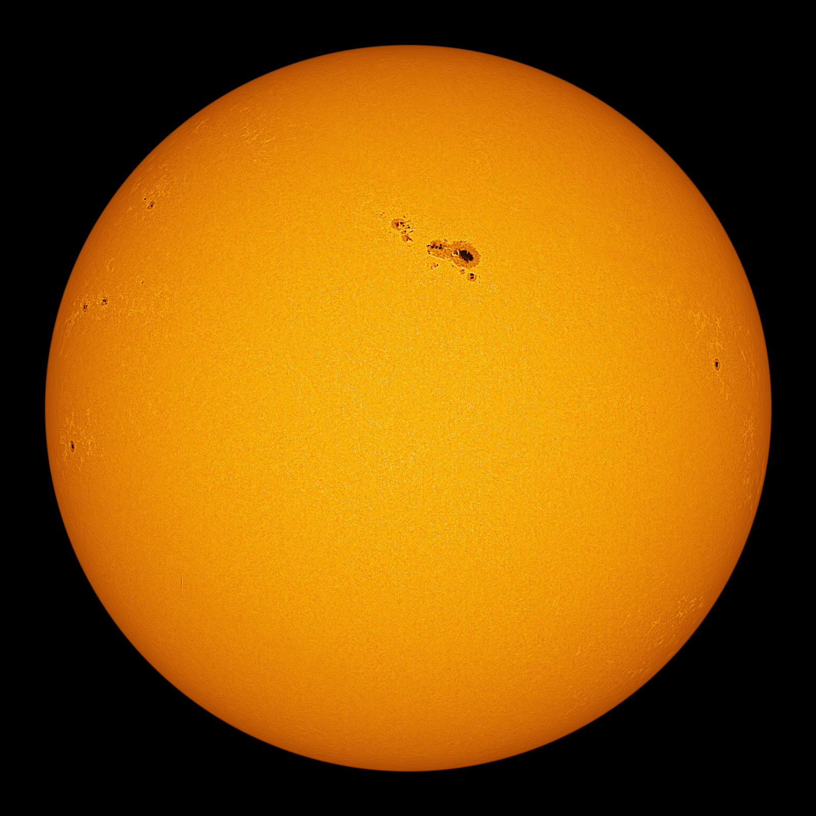 Наше Солнышко | Пикабу