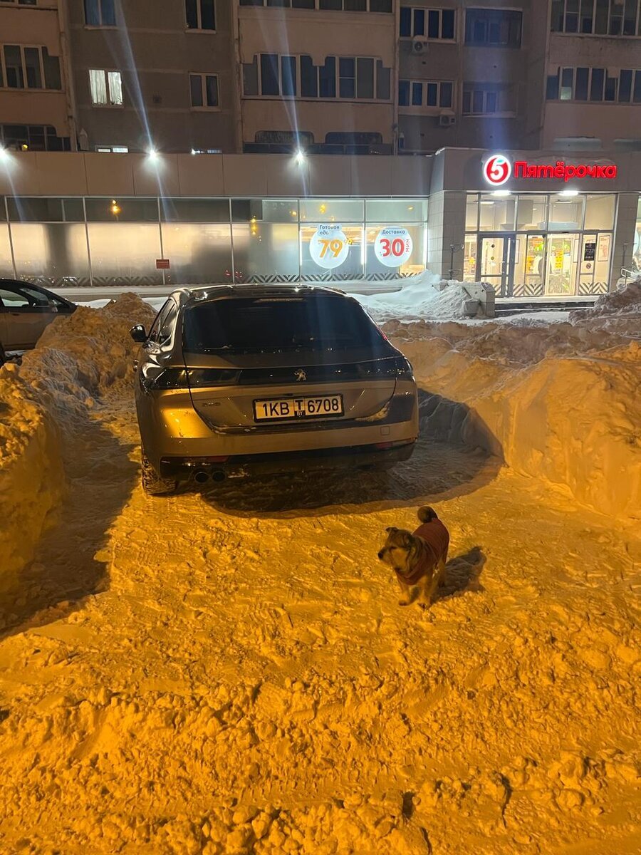 Как мы покупали автомобиль Peugeot 508 в Республике Беларусь или как  работает наша ФТС | Пикабу