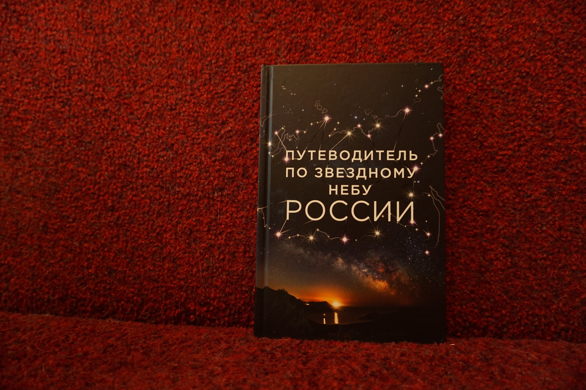 Носочно-цветочный из СПб в Москву | Пикабу