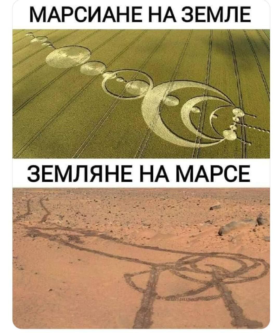 Дикари | Пикабу
