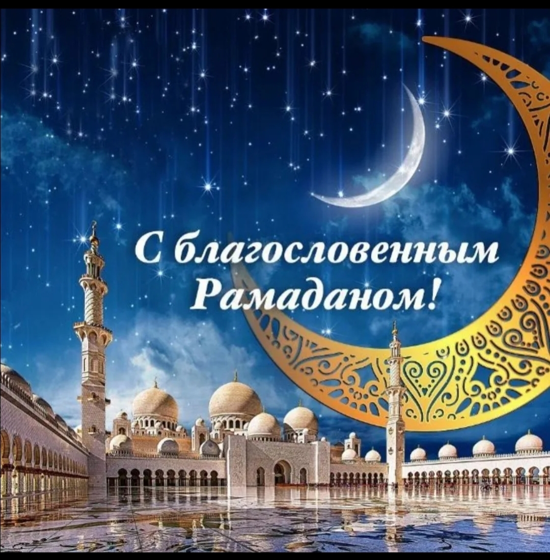Ежедневник | Пикабу