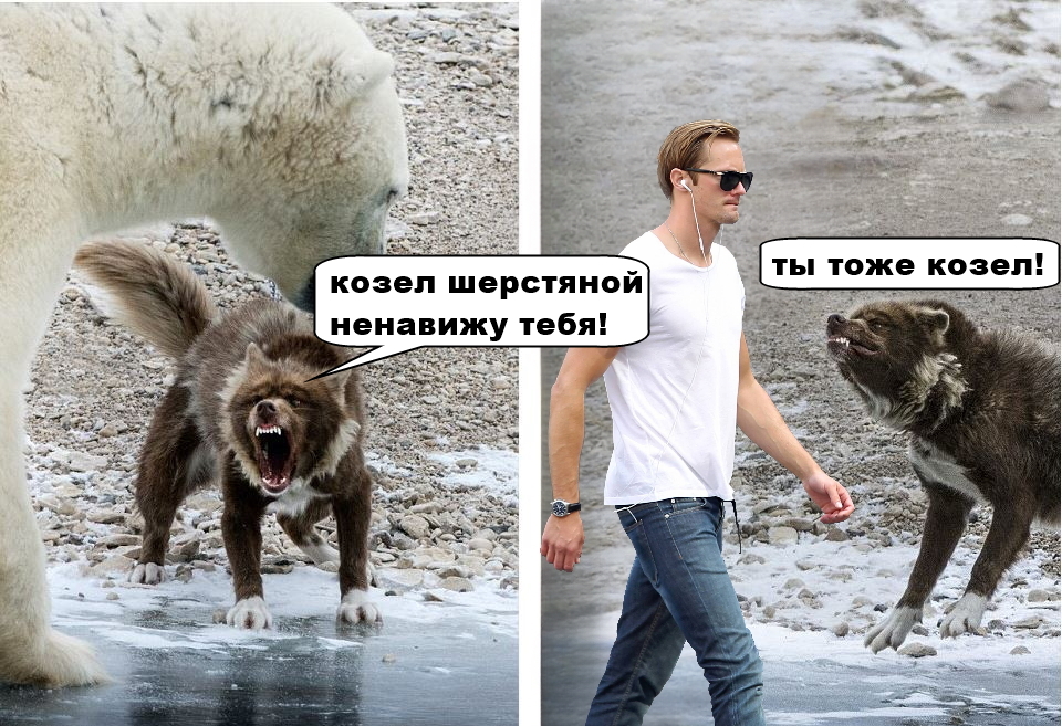 Жыныстық қатынаста бір апта бойы жыныстық қатынассыз еркек Үлкен жамбастары бар әйелдердің секс порносы