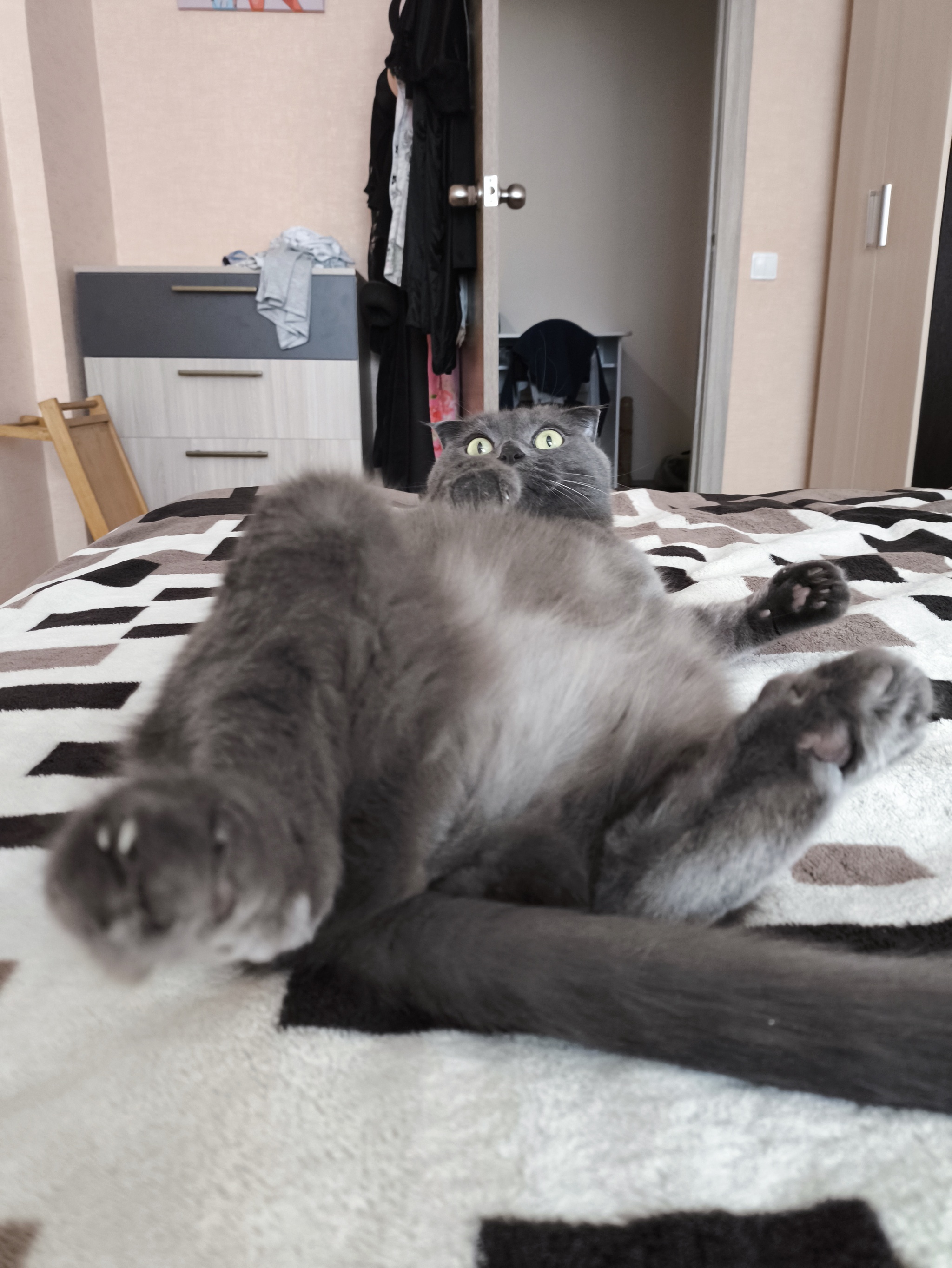 Кормухина кукушка