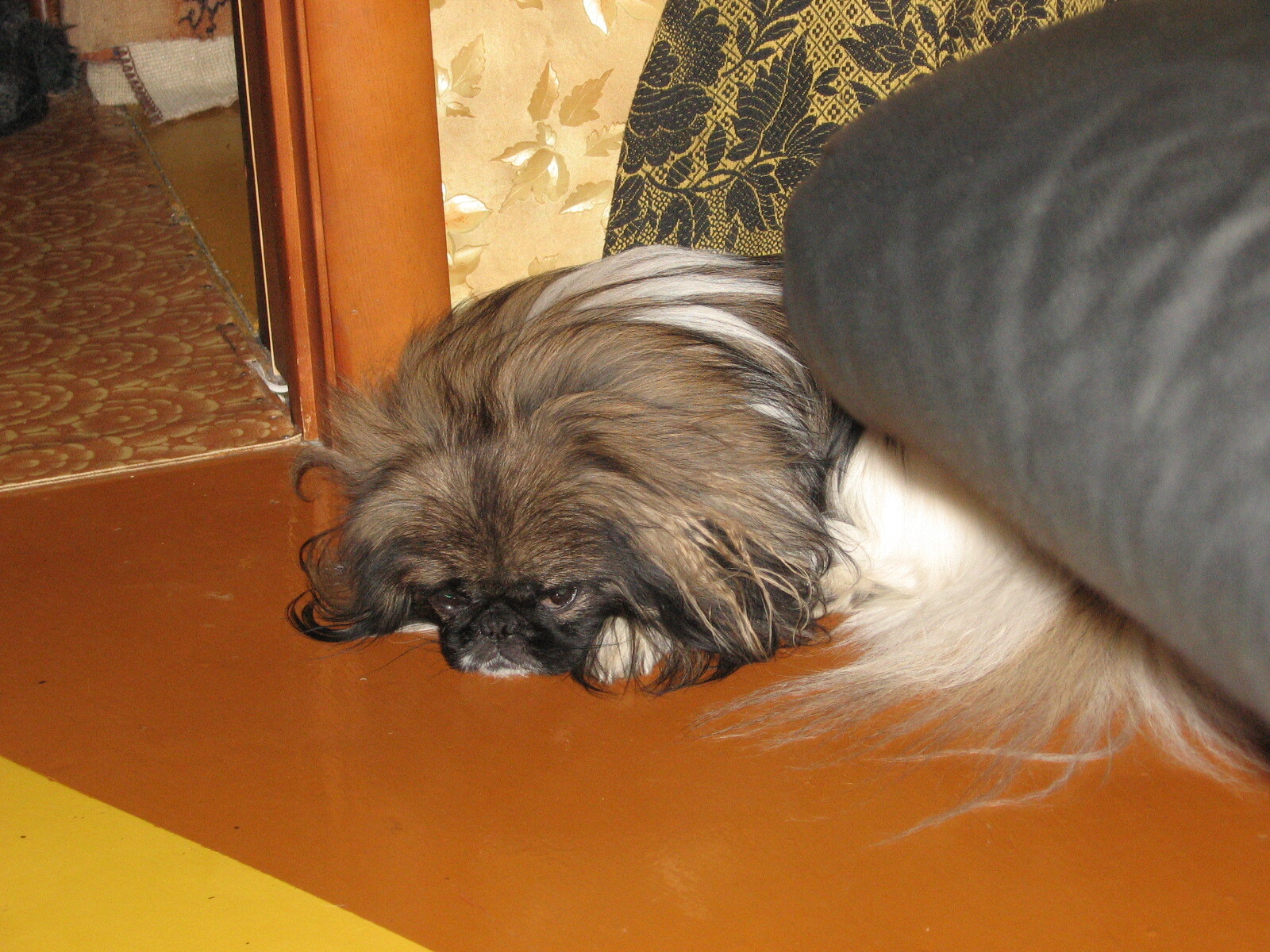 Бакс | Пикабу