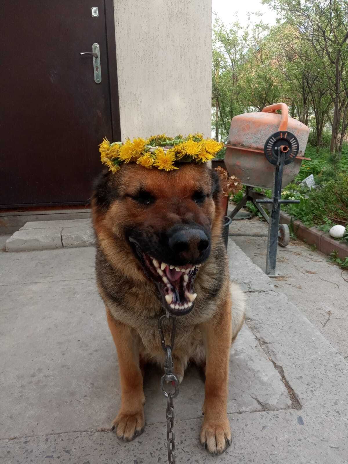 Наше чадо | Пикабу