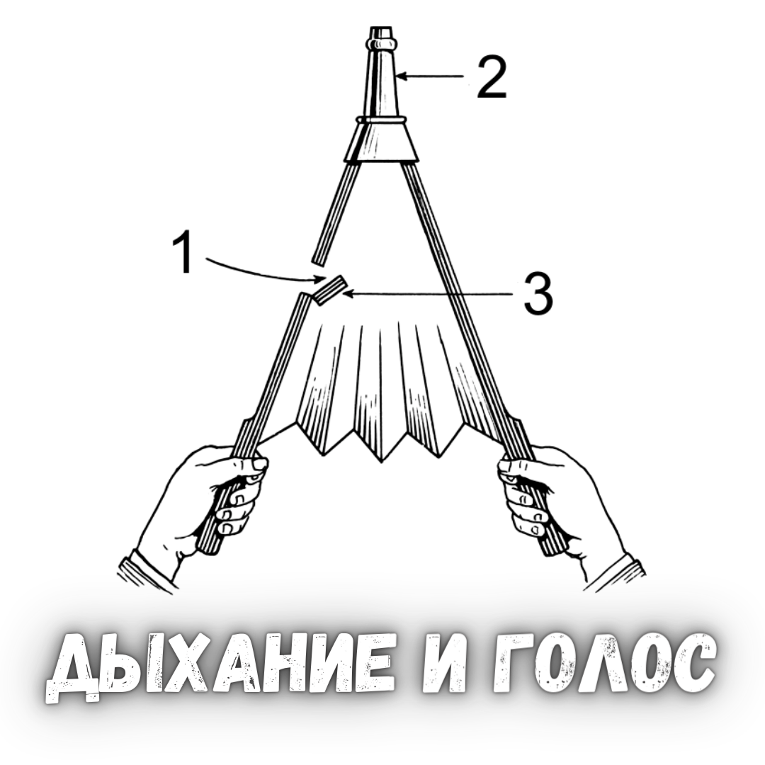 Дыхание - залог красоты вокала и речи | Пикабу