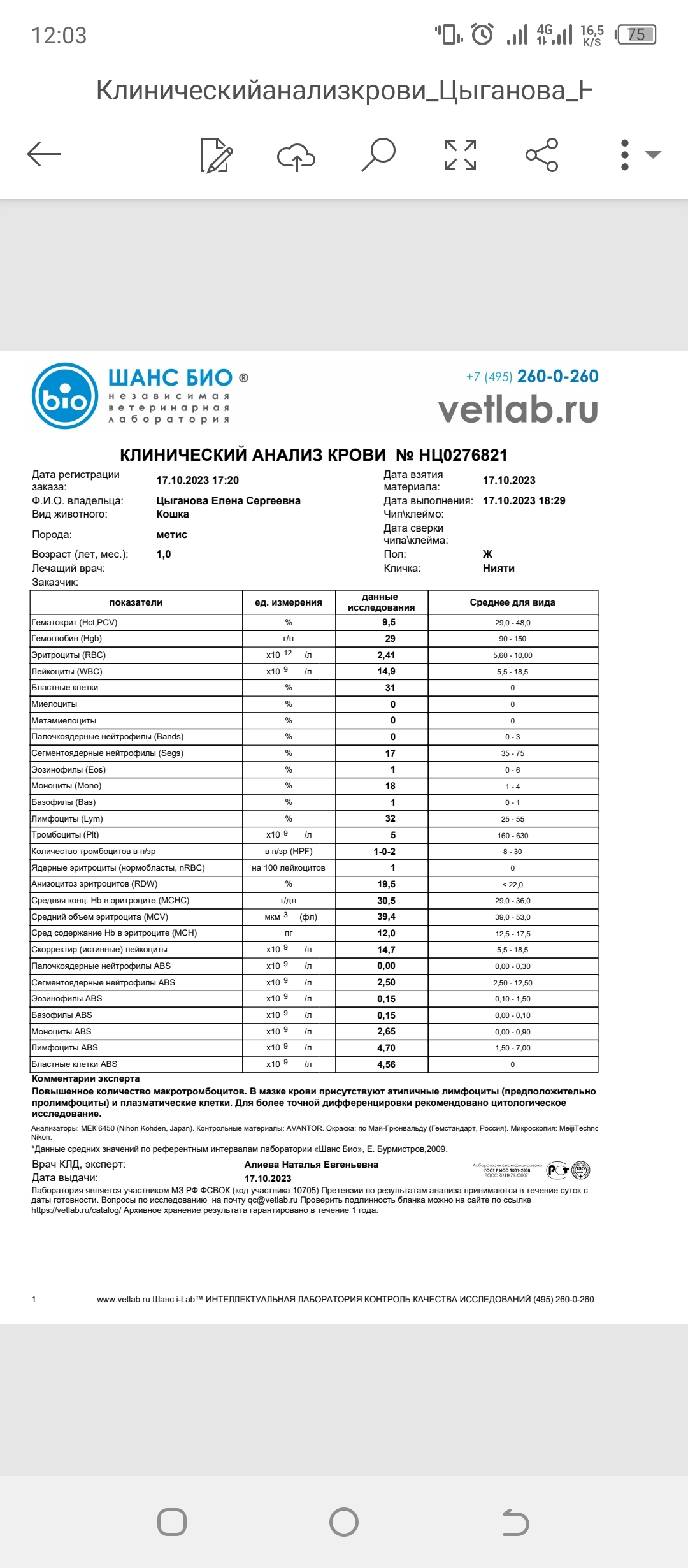 Печальная история мышонка Нияти | Пикабу