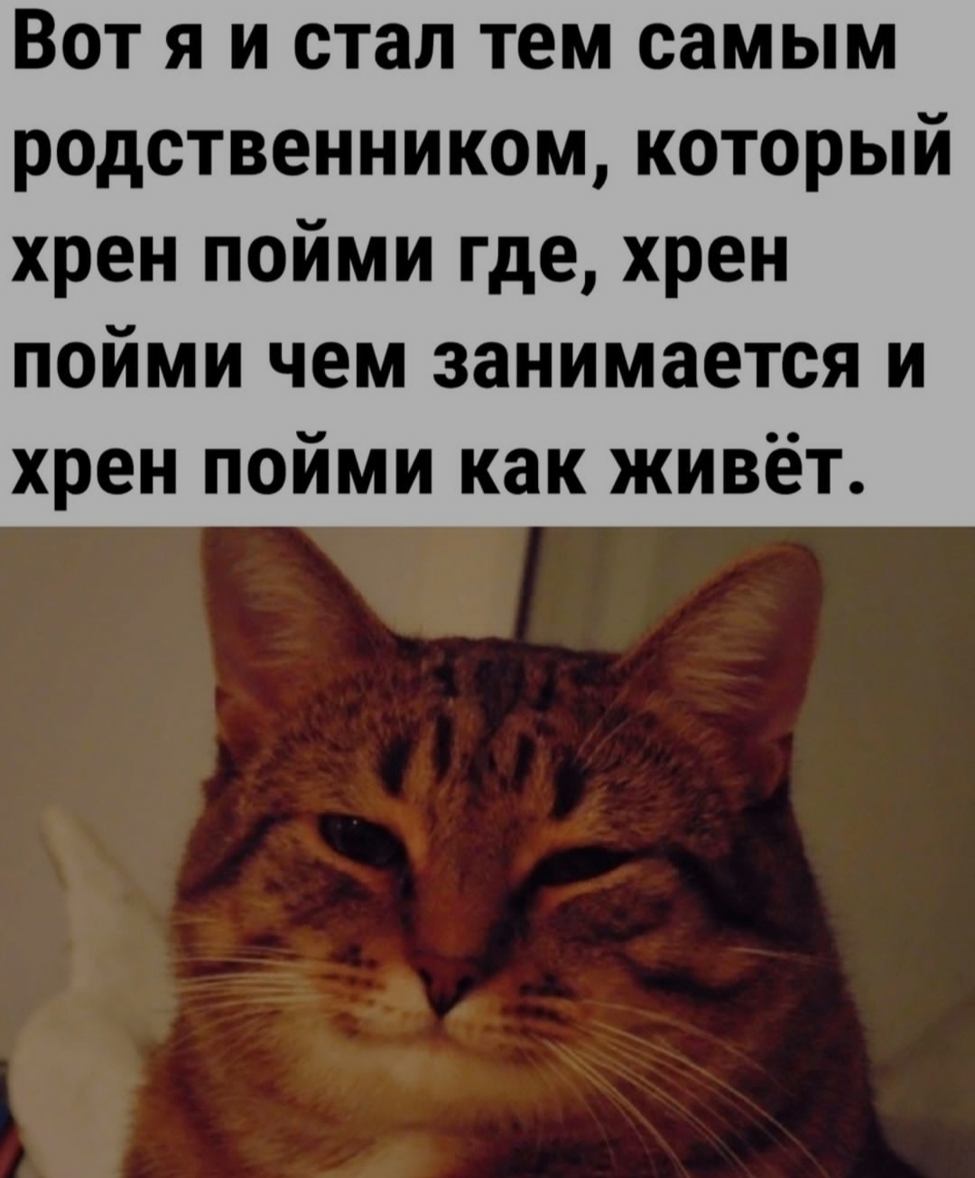 Я живу на краю земли, ни с кем из родни не общаюсь и мне здорово! | Пикабу