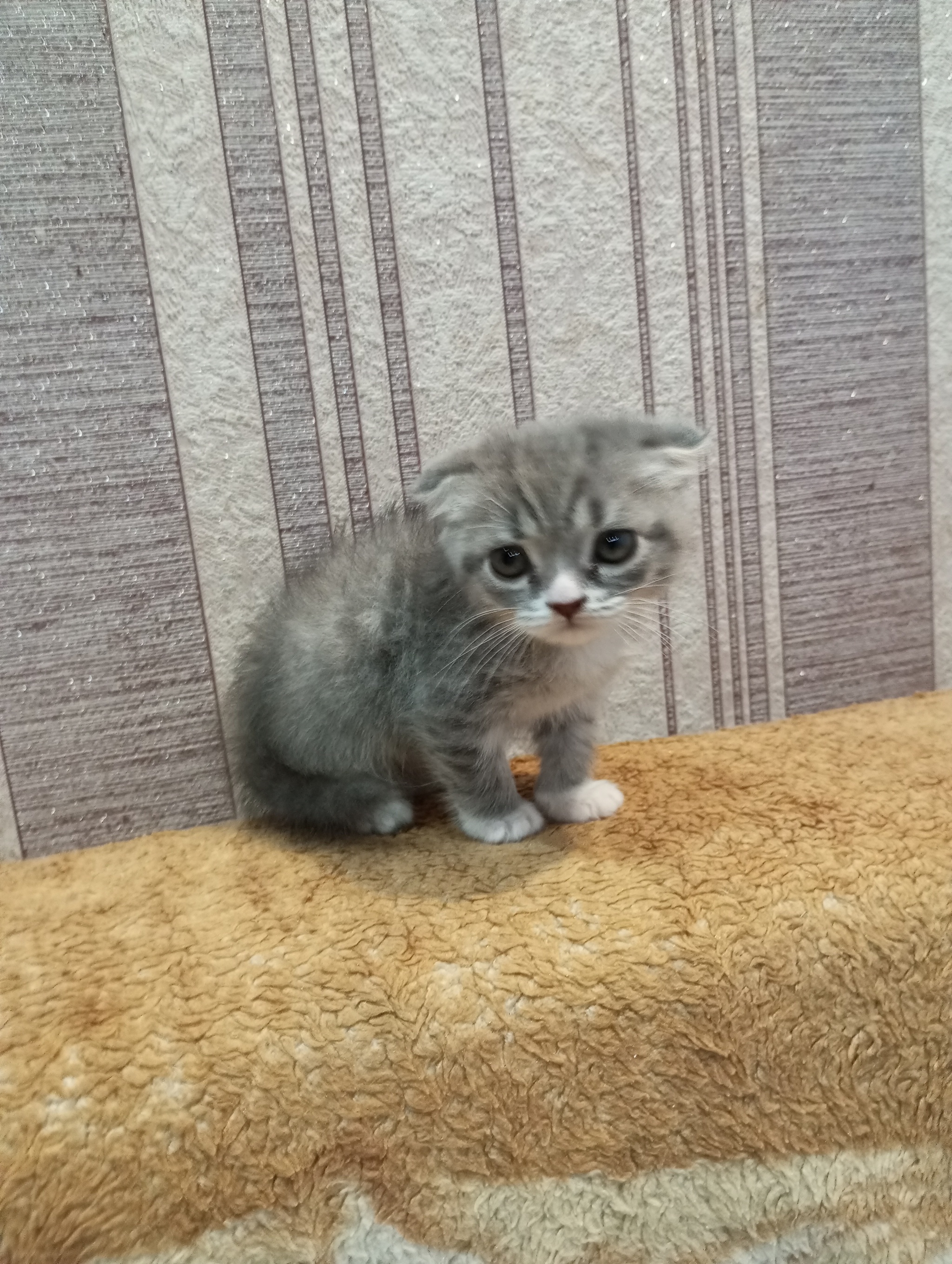 Грозная Туча | Пикабу