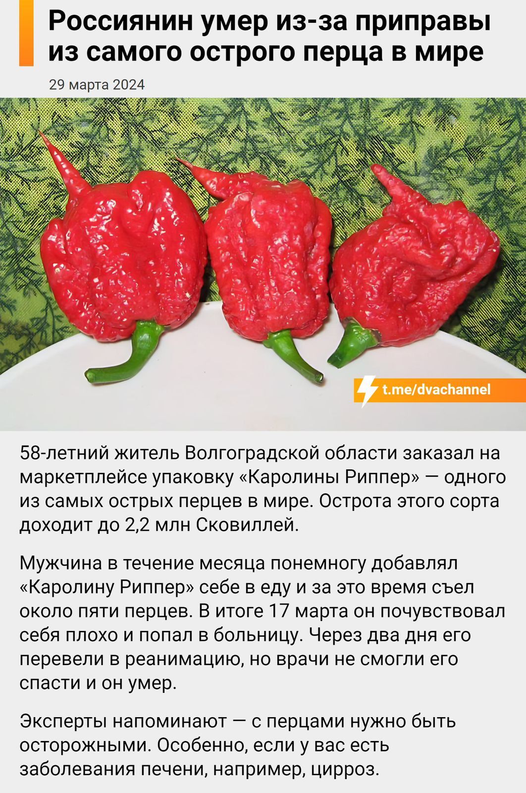 Как я перец «Каролинский жнец» (Carolina Reaper) пробовал | Пикабу